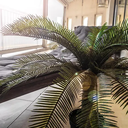 Boutique Lafayette Hotel Bukarest